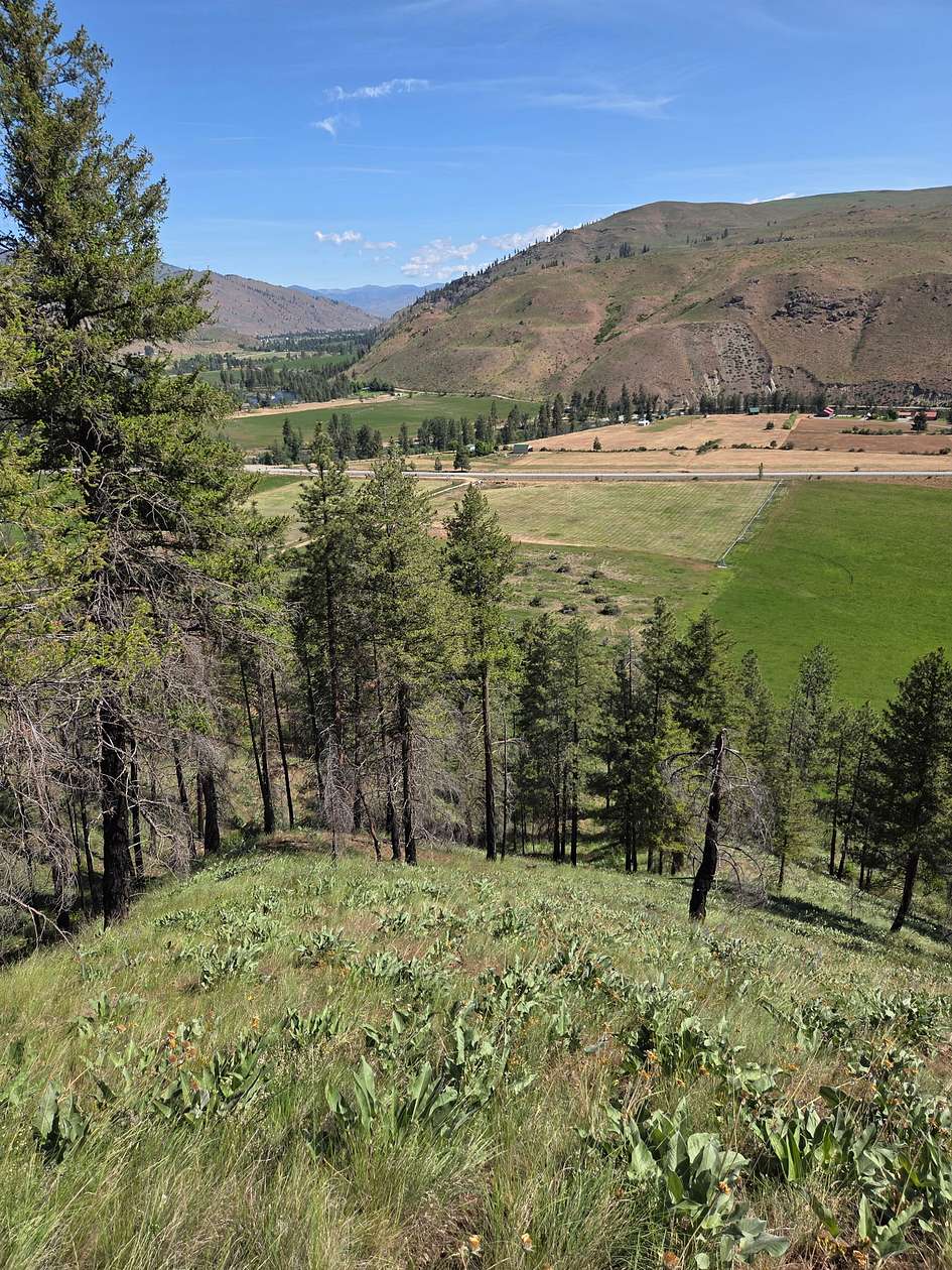 40 Acres of Recreational & Residential Land for Sale in Carlton, Washington
