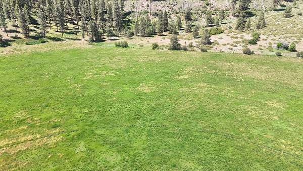 78 Acres of Land for Sale in Carlton, Washington
