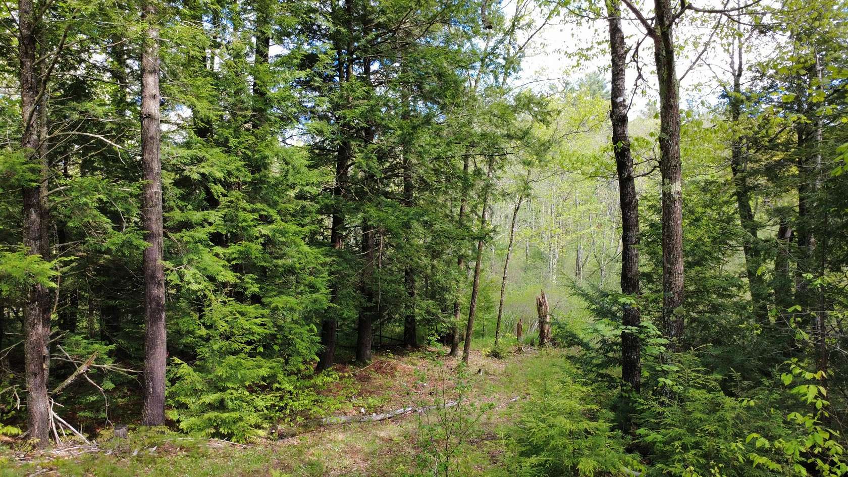 29 Acres of Land for Sale in Liberty, Maine