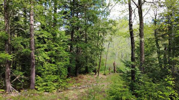 29 Acres of Land for Sale in Liberty, Maine
