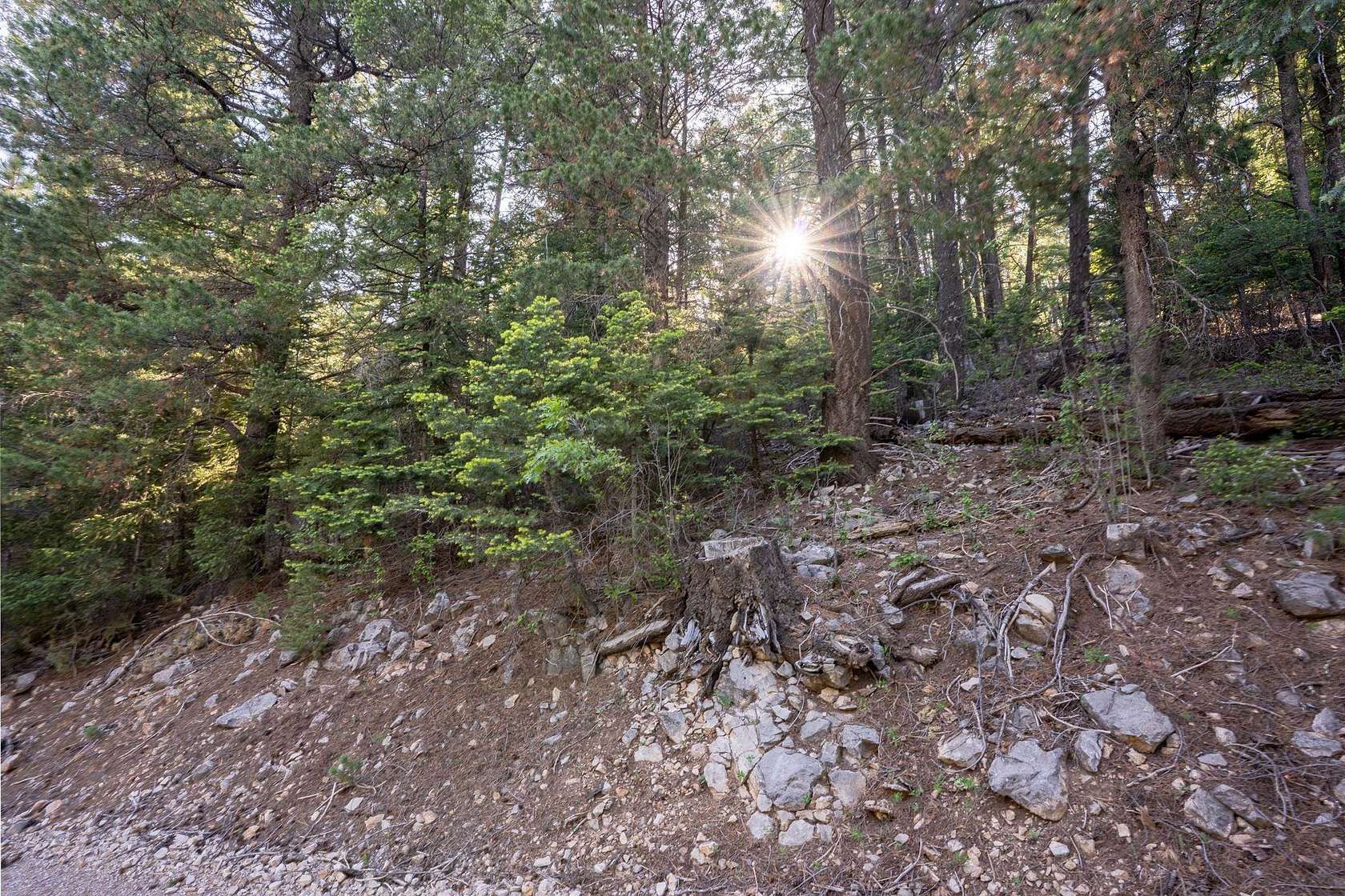 0.52 Acres of Residential Land for Sale in Cloudcroft, New Mexico
