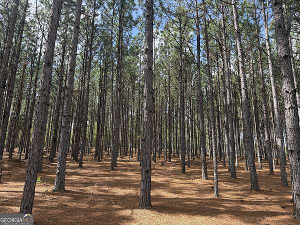 2.48 Acres of Residential Land for Sale in Lumpkin, Georgia