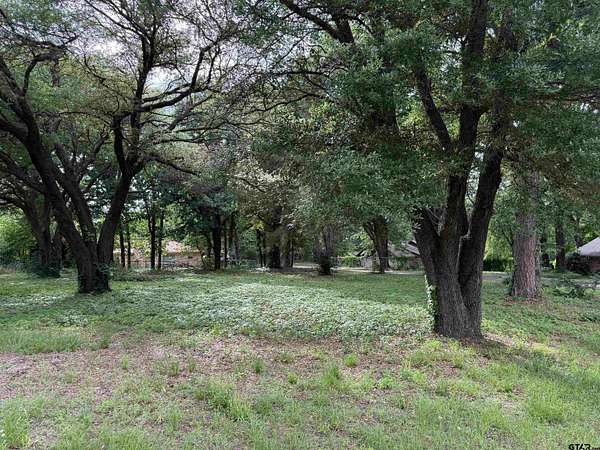 0.37 Acres of Residential Land for Sale in Hawkins, Texas