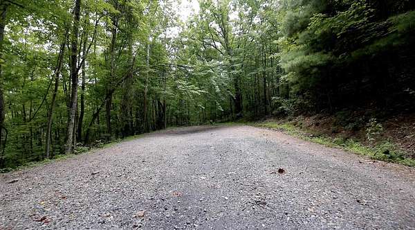 0.7 Acres of Commercial Land for Sale in Fort Valley, Virginia