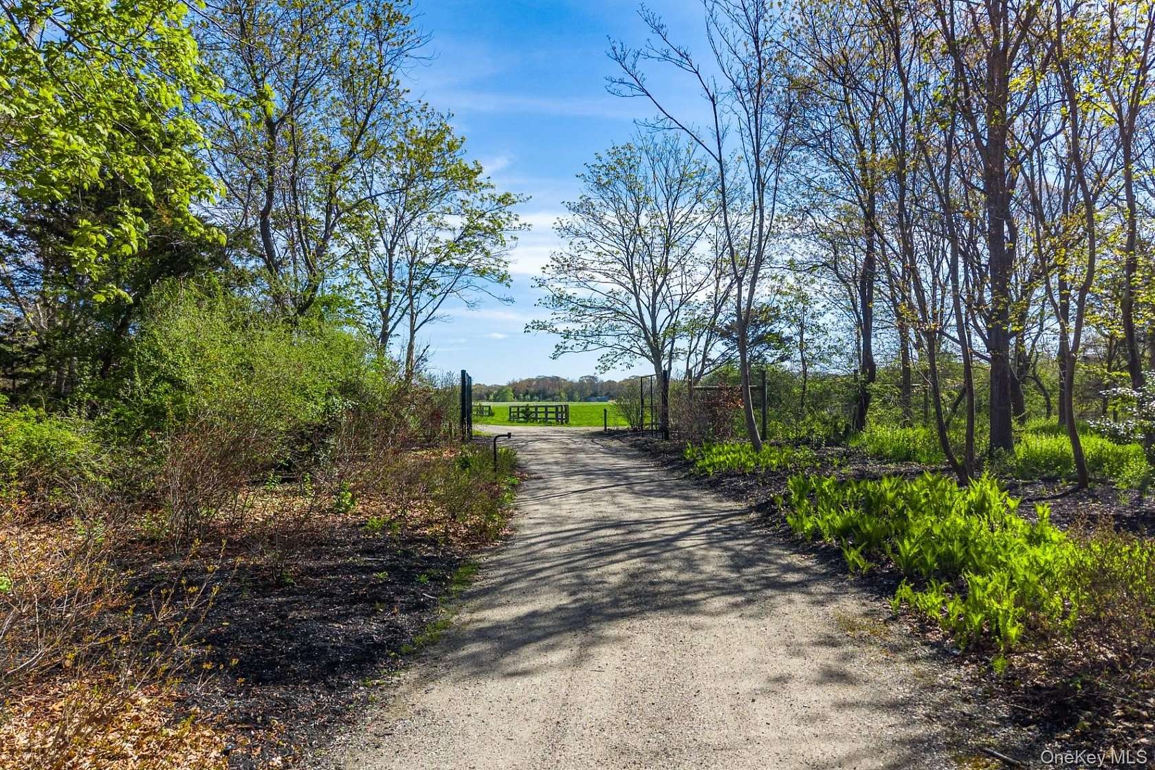 44.7 Acres of Land for Sale in Cutchogue, New York