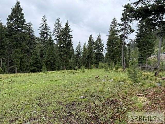 2.6 Acres of Residential Land for Sale in Gibbonsville, Idaho