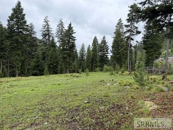 2.6 Acres of Residential Land for Sale in Gibbonsville, Idaho