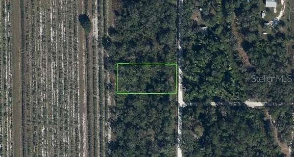 1 Acre of Residential Land for Sale in Venus, Florida