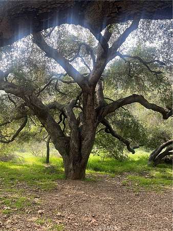 0.51 Acres of Land for Sale in Val Verde, California