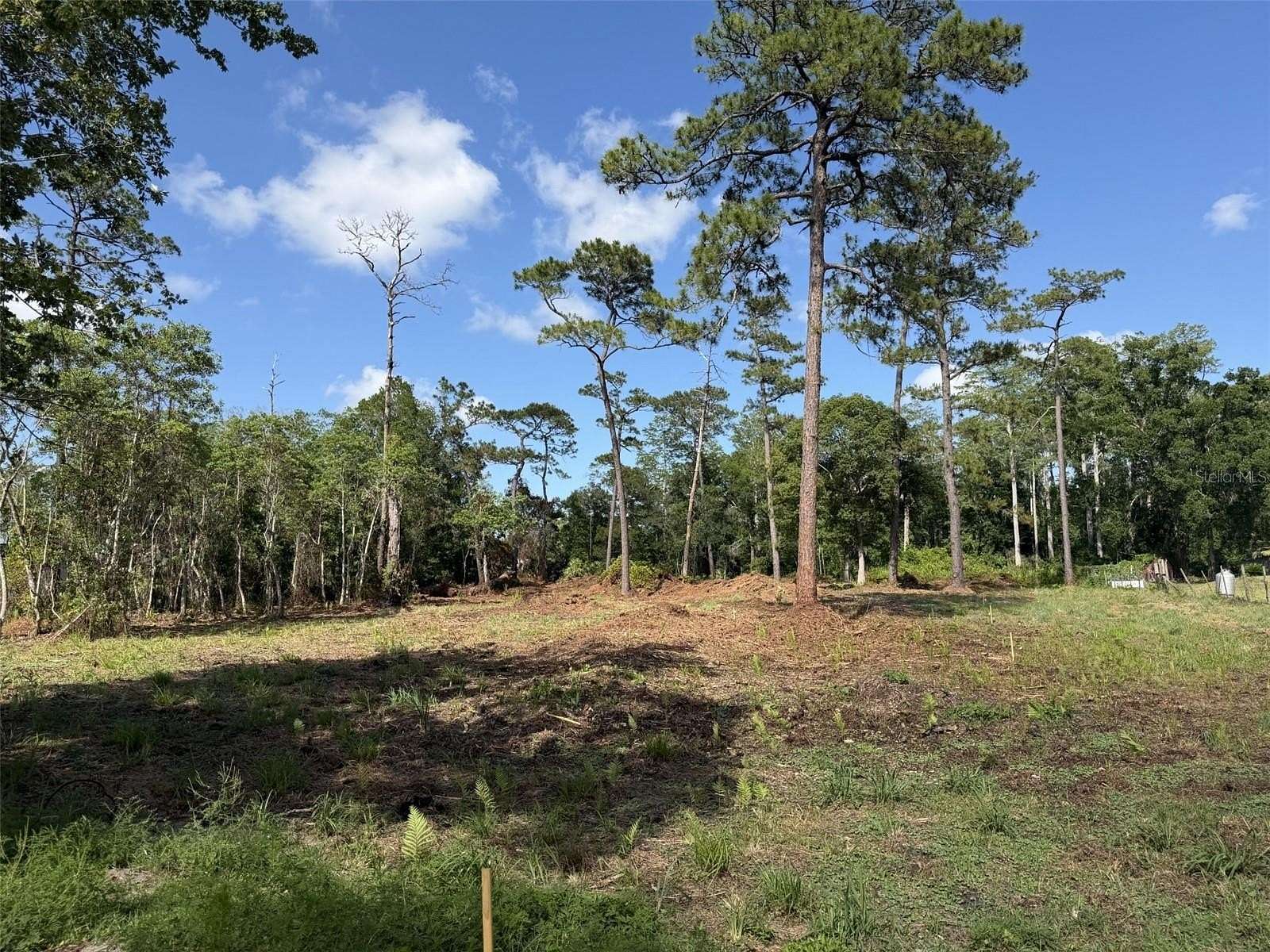 1.4 Acres of Residential Land for Sale in Christmas, Florida