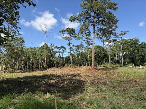 1.4 Acres of Residential Land for Sale in Christmas, Florida