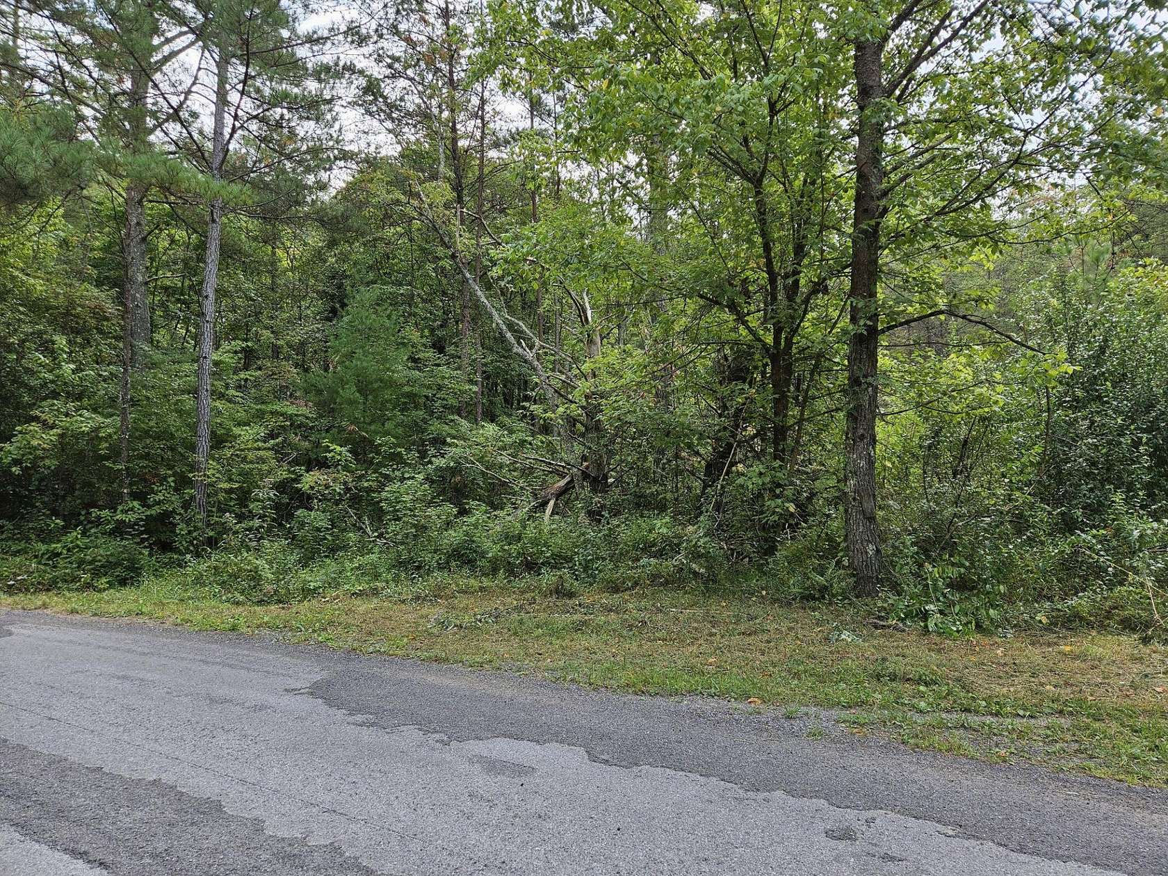 5.46 Acres of Land for Sale in Copperhill, Tennessee
