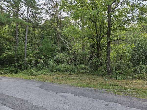 5.46 Acres of Land for Sale in Copperhill, Tennessee