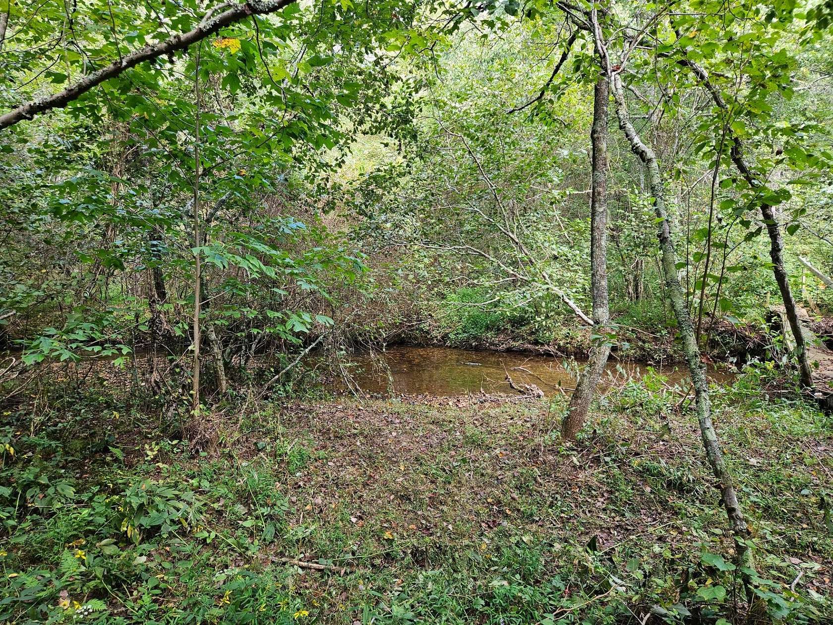 15.8 Acres of Recreational Land for Sale in Copperhill, Tennessee