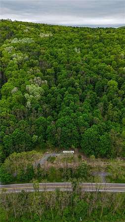 17.2 Acres of Recreational Land for Sale in Naples, New York