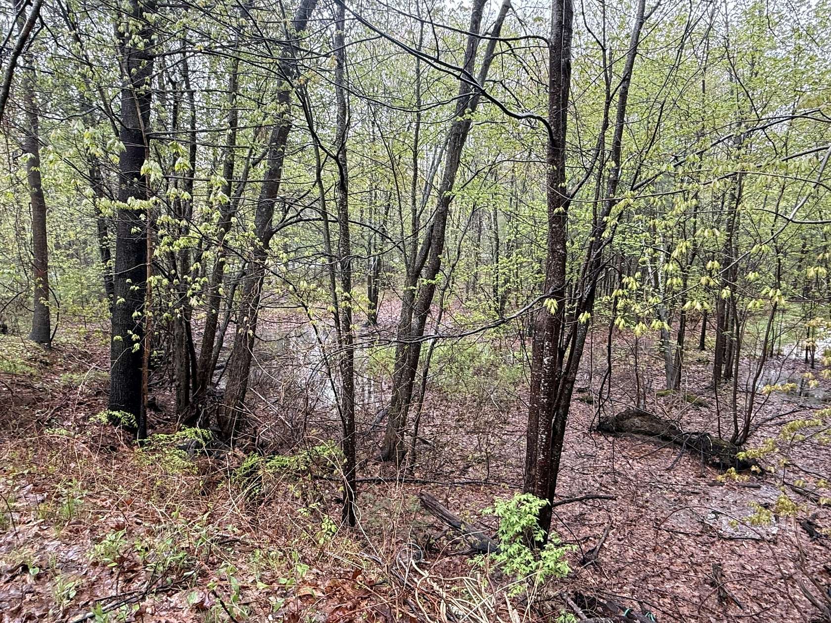 1.3 Acres of Residential Land for Sale in Wells, Maine