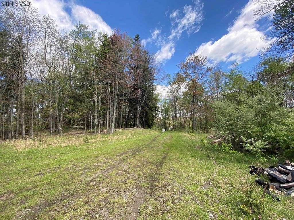 21 Acres of Land for Sale in Hastings, Pennsylvania