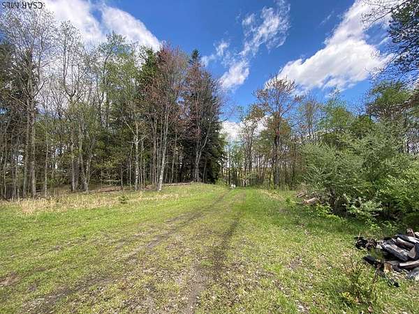 21 Acres of Land for Sale in Hastings, Pennsylvania