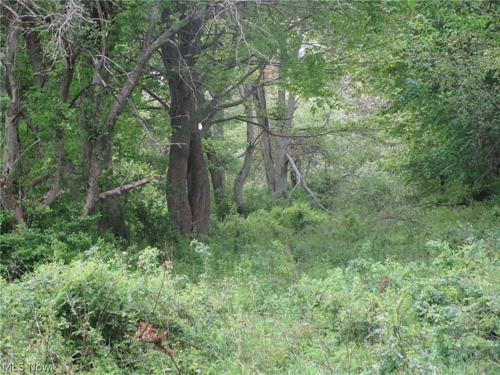 27.6 Acres of Recreational Land for Sale in Conneaut, Ohio