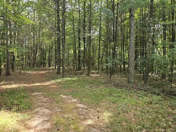 1.66 Acres of Residential Land for Sale in Wisconsin Rapids, Wisconsin