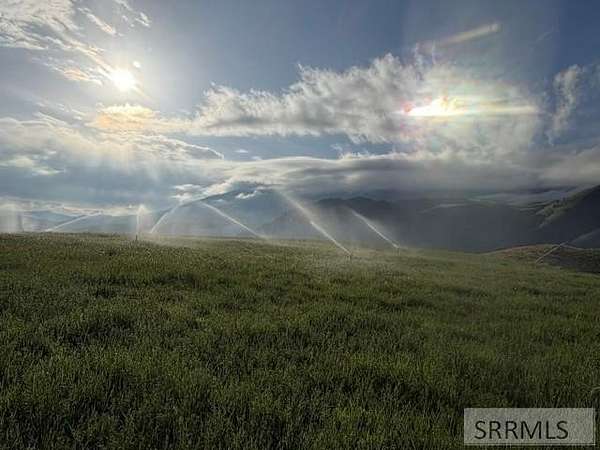 12.8 Acres of Land for Sale in Salmon, Idaho