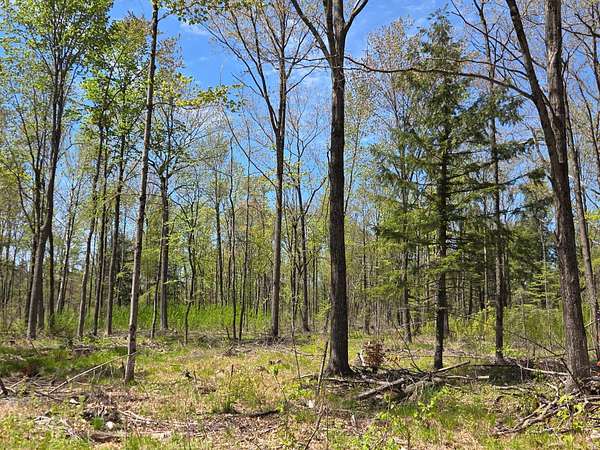 10 Acres of Residential Land for Sale in Brantwood, Wisconsin