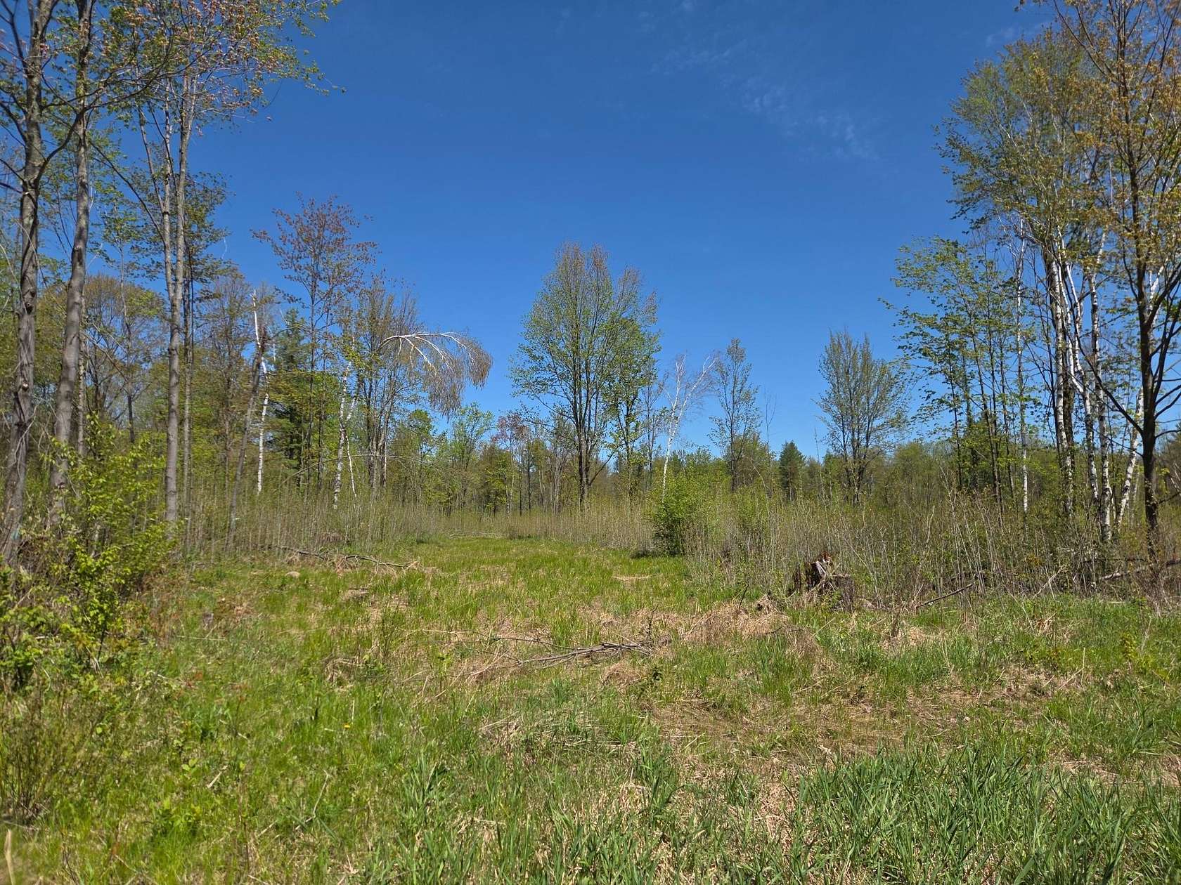 20 Acres of Land for Sale in Brantwood, Wisconsin