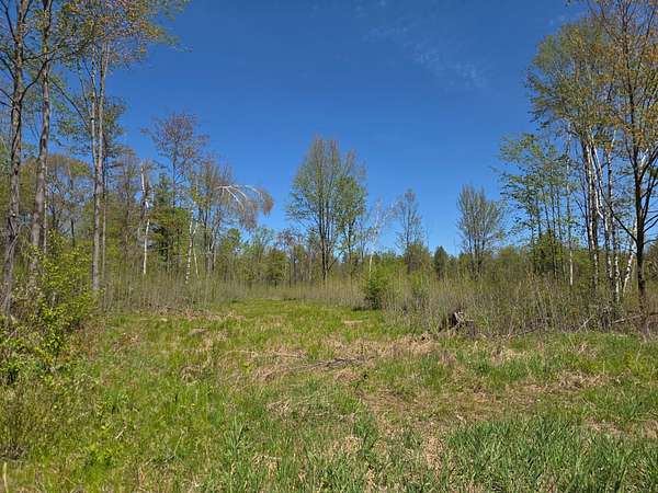 20 Acres of Land for Sale in Brantwood, Wisconsin