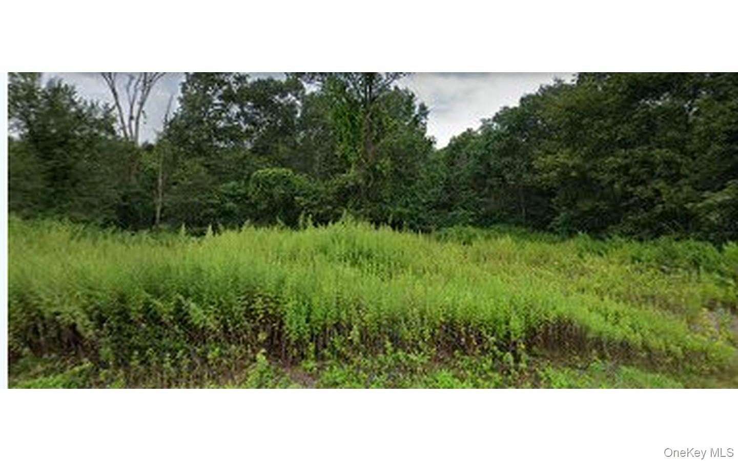 0.59 Acres of Residential Land for Sale in New Windsor, New York