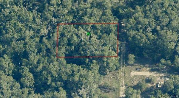 0.23 Acres of Residential Land for Sale in Inverness, Florida