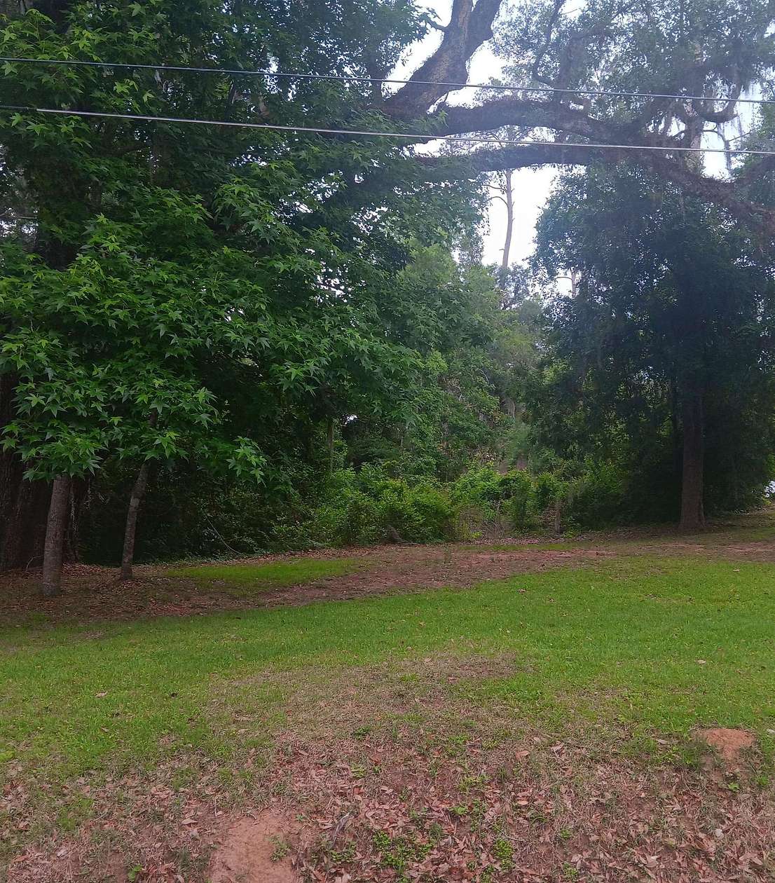 0.61 Acres of Residential Land for Sale in Tallahassee, Florida