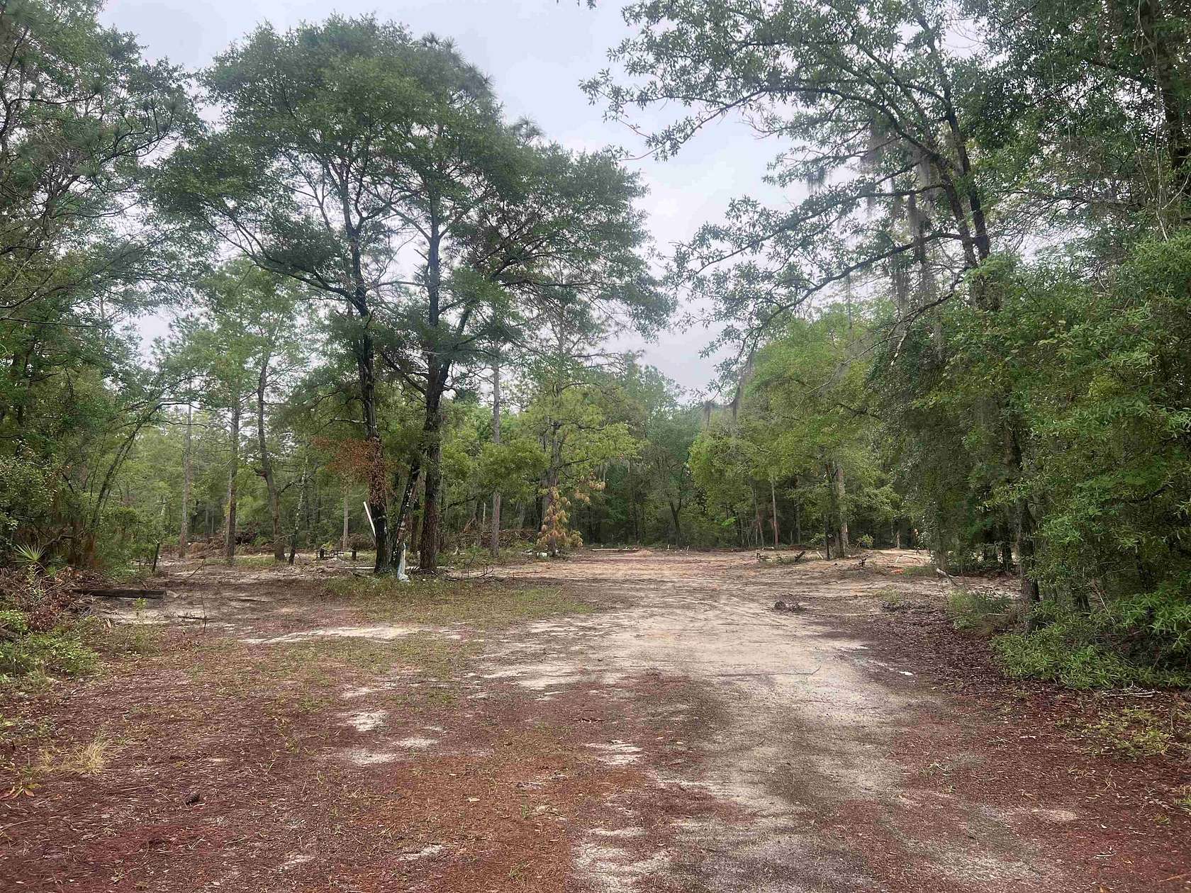 73 Acres of Recreational Land for Sale in Quincy, Florida