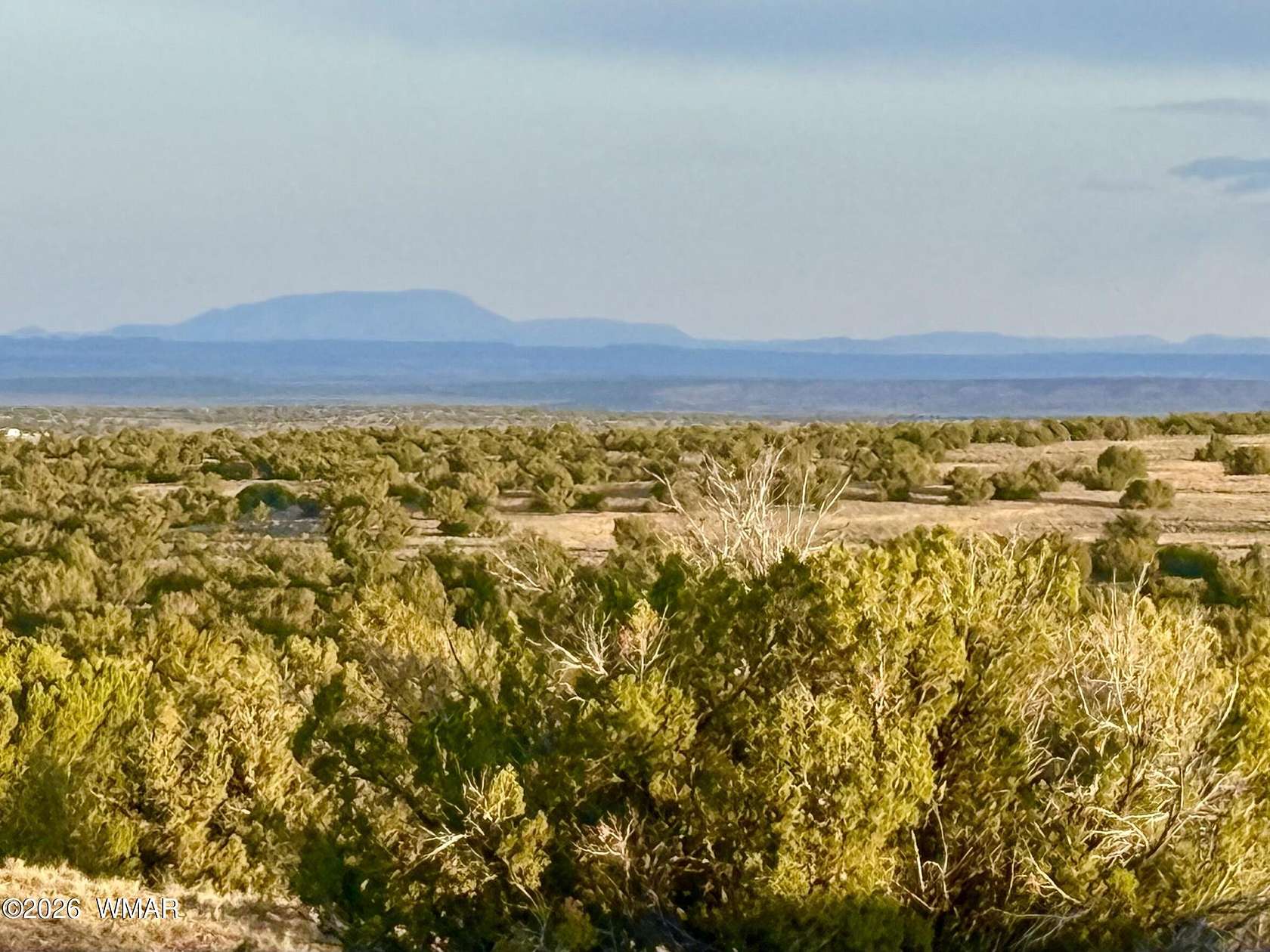 40 Acres of Recreational & Residential Land for Sale in St. Johns, Arizona