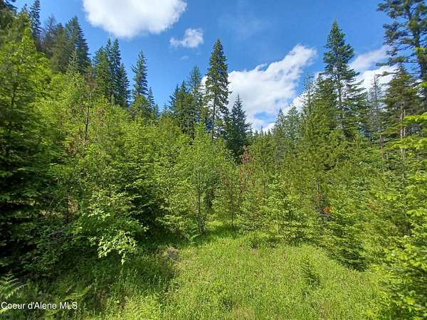 40 Acres of Recreational & Residential Land for Sale in Priest River, Idaho
