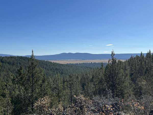 40 Acres of Recreational Land for Sale in Sprague River, Oregon