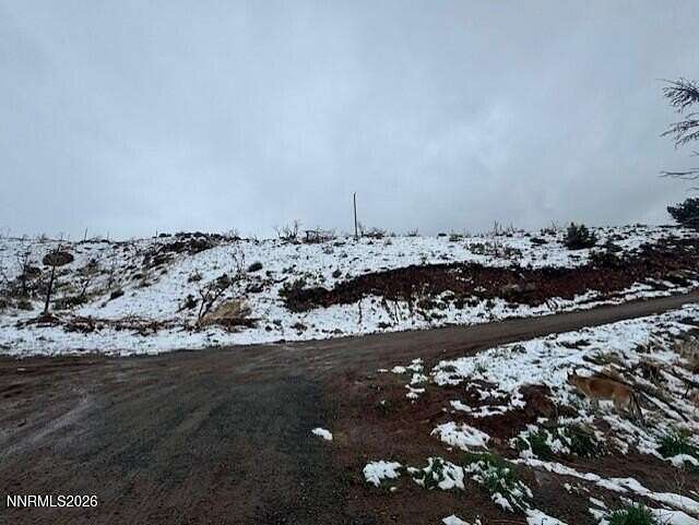40 Acres of Land for Sale in Reno, Nevada