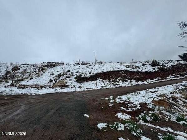 40 Acres of Land for Sale in Reno, Nevada