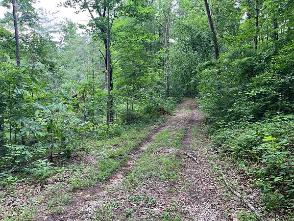 93 Acres of Recreational Land for Sale in Burkesville, Kentucky