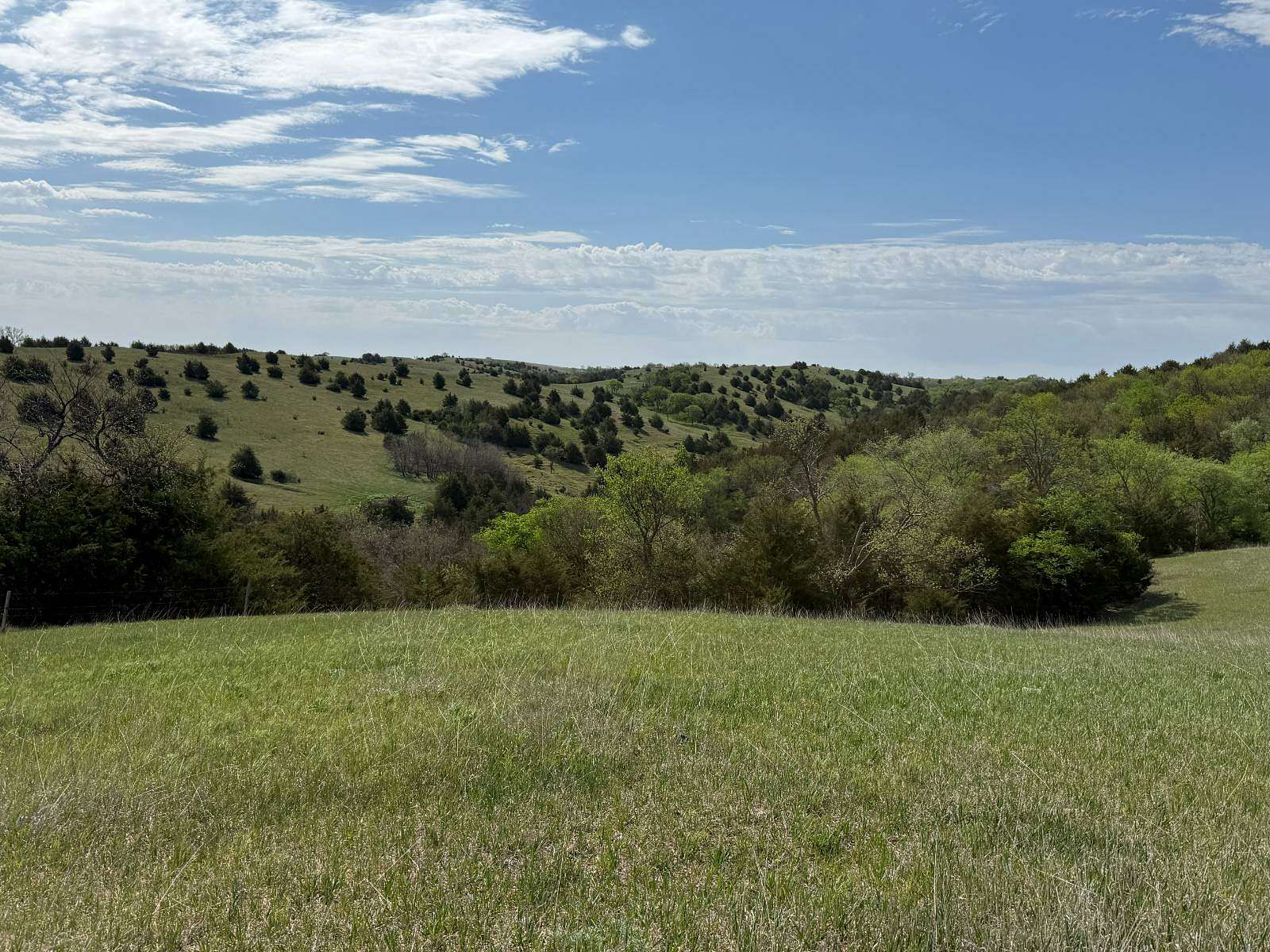 230 Acres of Land for Sale in Fairfax, South Dakota