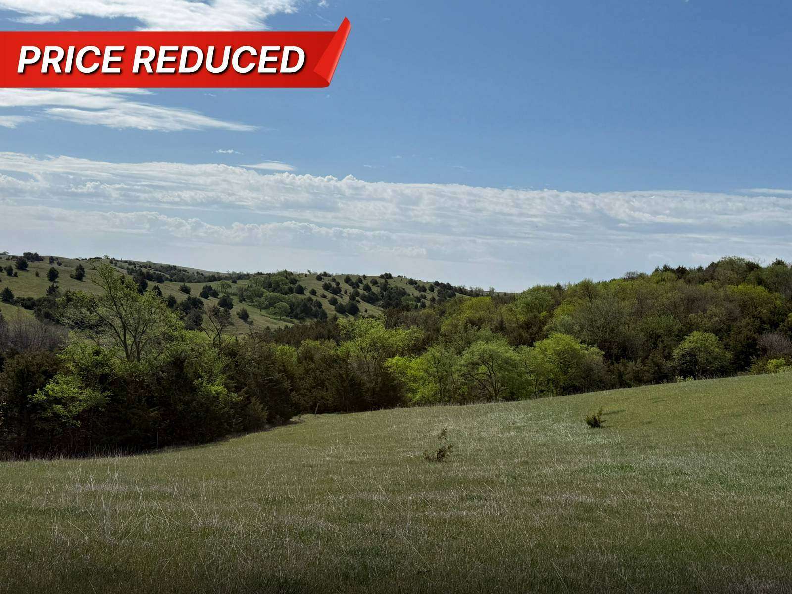 230 Acres of Land for Sale in Fairfax, South Dakota