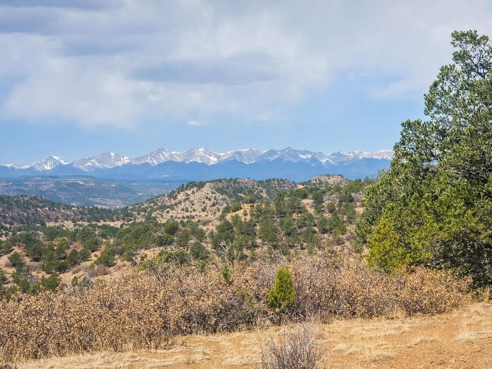 40 Acres of Land for Sale in Weston, Colorado