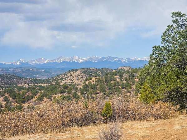 40 Acres of Land for Sale in Weston, Colorado