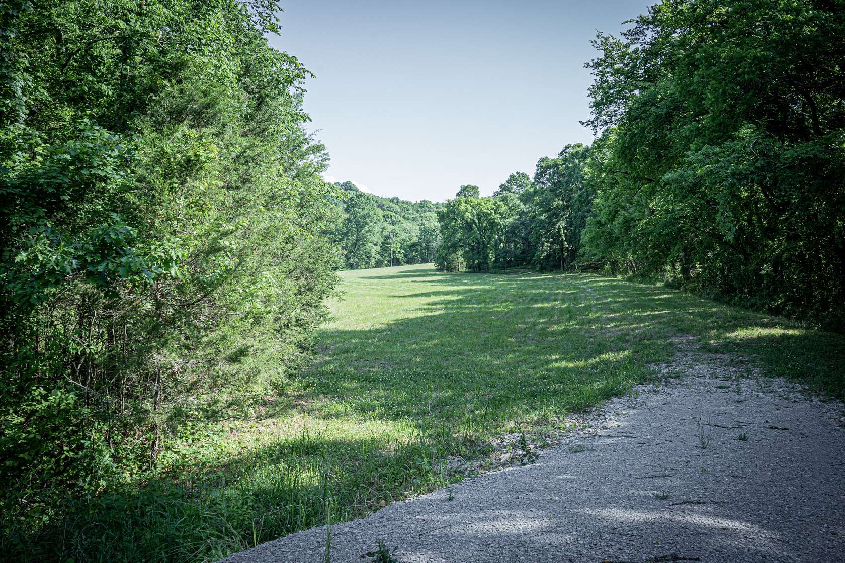 99.6 Acres of Land for Sale in Fayetteville, Tennessee