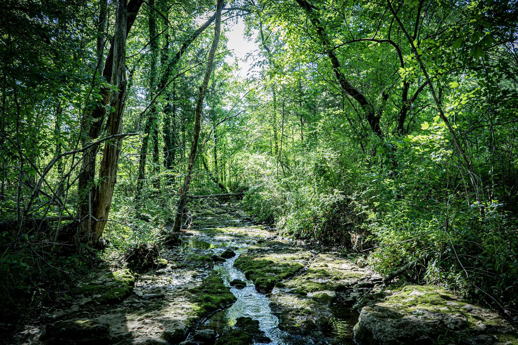 99.6 Acres of Land for Sale in Fayetteville, Tennessee