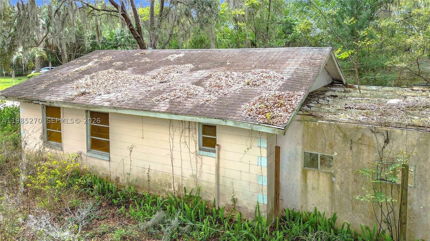 6.53 Acres of Land with Home for Sale in Belleview, Florida