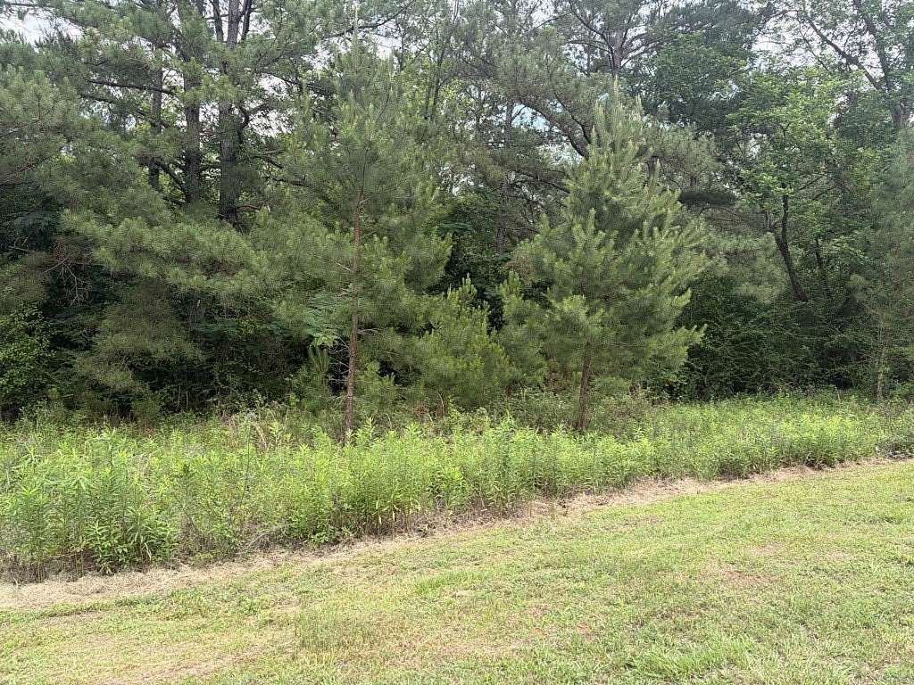 0.5 Acres of Land for Sale in Ochlocknee, Georgia