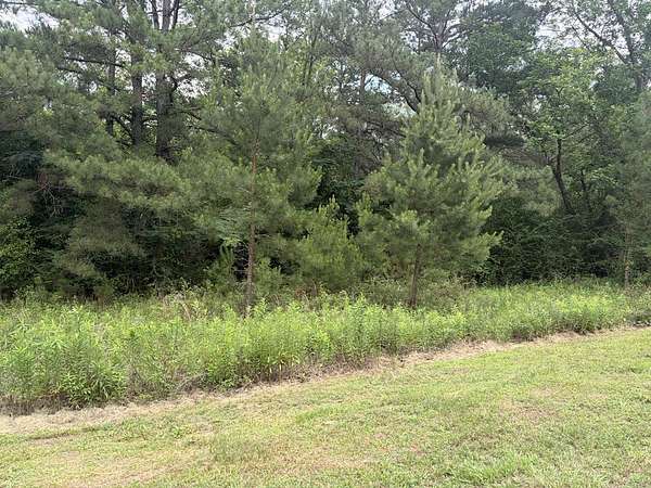 0.5 Acres of Land for Sale in Ochlocknee, Georgia