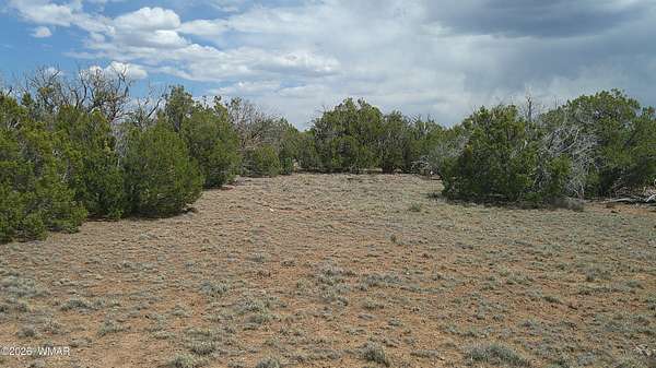 1.17 Acres of Residential Land for Sale in Concho, Arizona