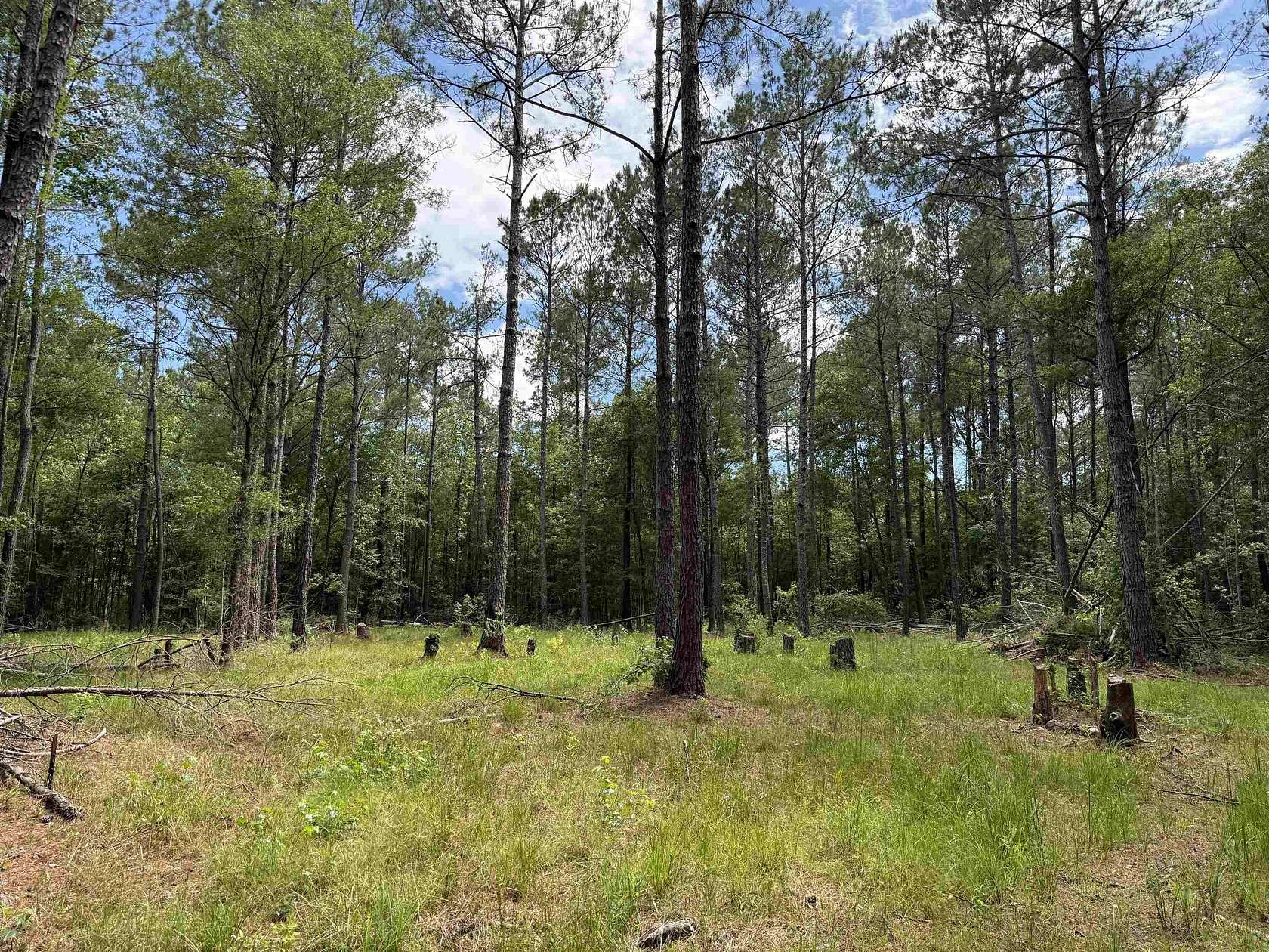 17.8 Acres of Land for Sale in Georgetown, South Carolina