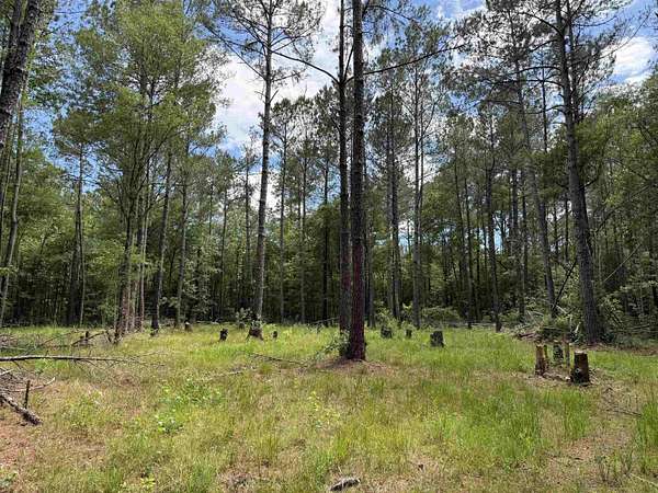 17.8 Acres of Land for Sale in Georgetown, South Carolina